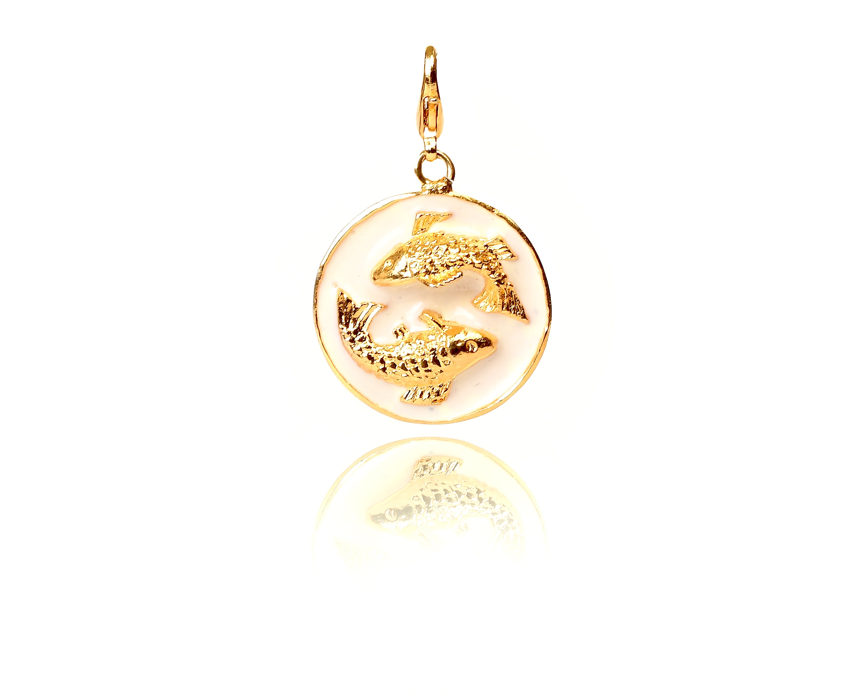 Aquarius Charm Locket