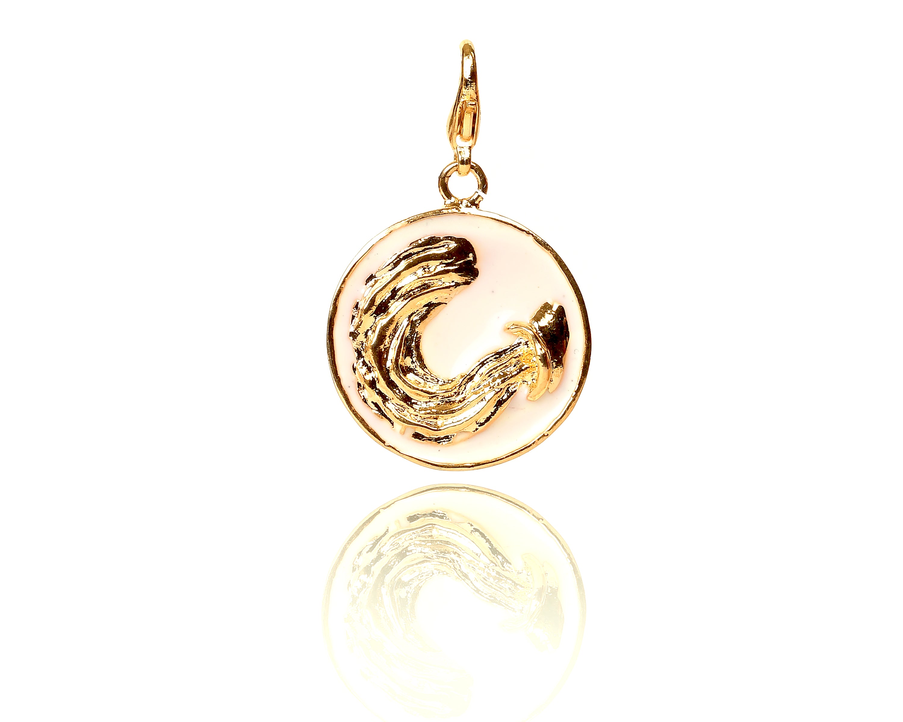 Aquarius Charm Locket