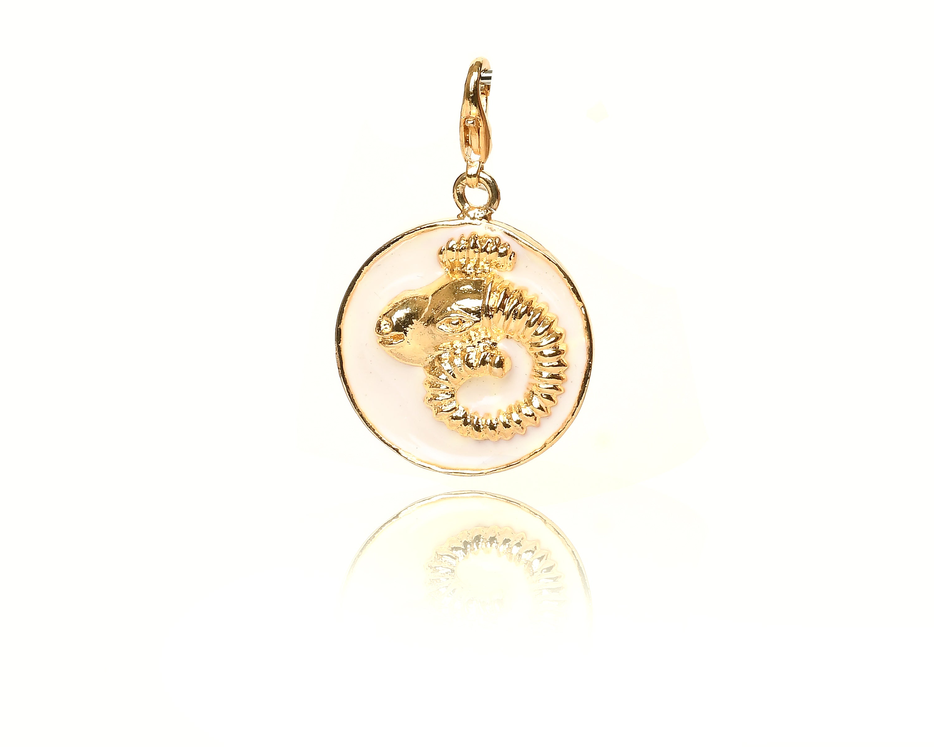 Aeries Charm Locket