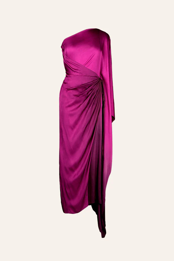 Midnight Plum Dress