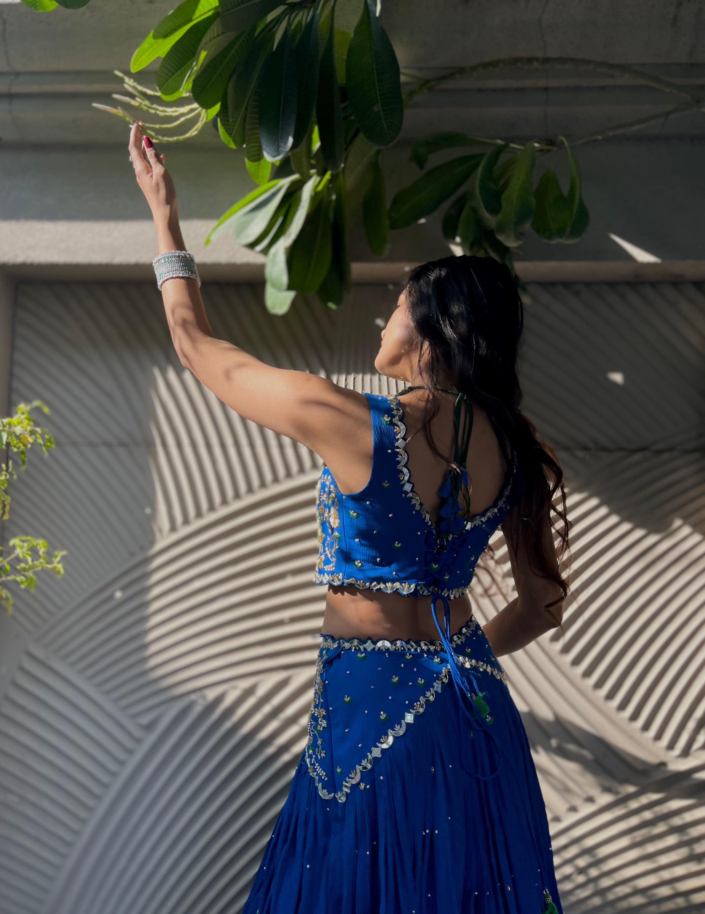 The Leela Lehenga Set